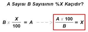 Yüzde Hesaplama (%): Pratik Hesap Makinesi